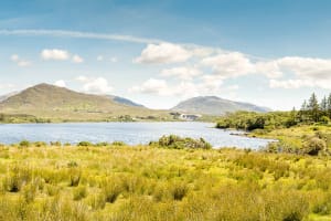 Galway to Connemara & Kylemore Abbey Day Tour 4