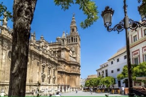Seville Sightseeing Tour with Rooftop Bar Visit 3