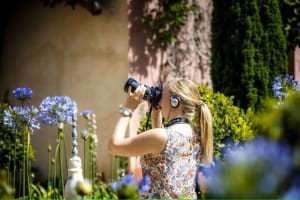 Expérience des demeures aristocratiques et jardins de Séville 3