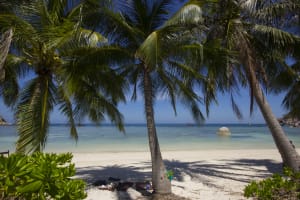 PADI Open Water - with eLearning online theory 4