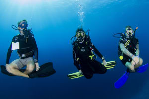 PADI Open Water Diver E-learning or Touch 3
