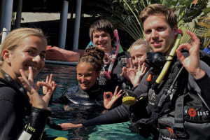 PADI Discover Scuba Diving 2 dives @Padangbai 4