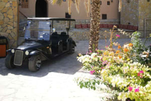 Al Aqur Village Cultural Cart Tour 3