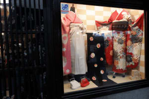 Cherry Blossom Season Evening Hanami and Food Tour - Kyoto 4