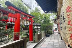 Kyoto: Nishiki Market Food Tour 4