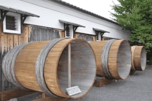 Kyoto Sake Brewery Tour 4