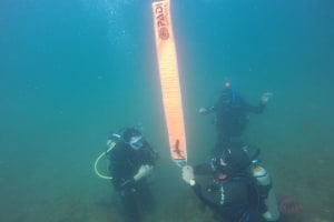 Open Water Diver 4