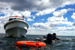 Diving with Wolves + Shipwreck 4