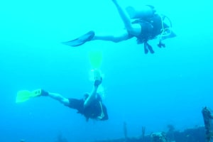 Single Tank afternoon dive 4