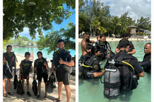 Open Water Diver 4