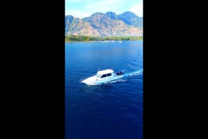 Day trip 3 fun dives in Nusa Penida and Lembongan 3