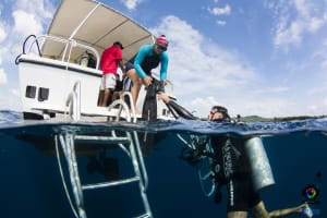Full-Day Dive Trip 3