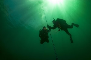 Double Dive Shore Safari 3