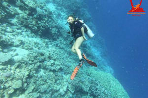 Half-Day Dive Trip 4