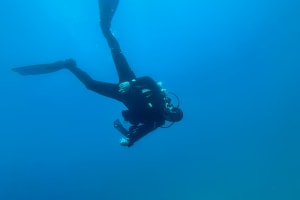 Pack of 8 dives 3