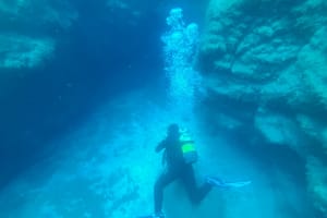 Pack of 10 dives 4