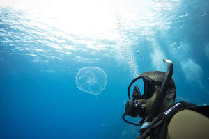 PADI Discover Scuba Diving 4