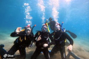 Half-Day Dive Trip 4