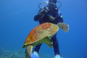 PADI Open Water Diver course 3