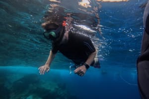Short Snorkelling Trip 3