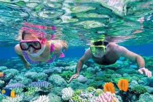 Full-Day Snorkelling Trip 3