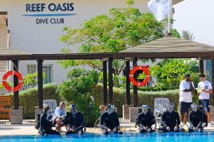 Scuba Diver Beginner Session 4