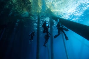 Night dive or early morning dive 3