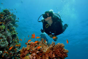 Scuba Diver Beginner Session 4