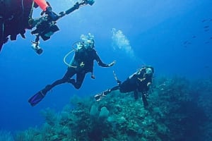 Half-Day Dive Trip 3
