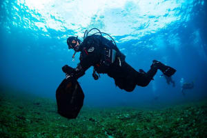 4 Dive Package 4
