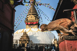Kathmandu UNESCO Heritage Sites Tour 3