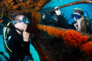 PADI Open Water Diver Course 4