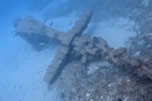 10 Dive Package 3