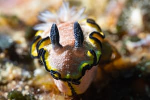 Full-Day Dive Trip 3