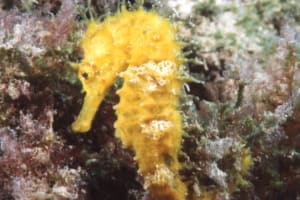 Full-Day Dive Trip 3