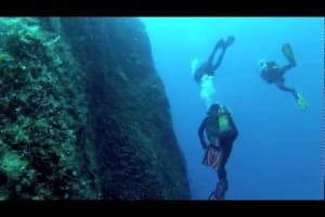 4 Dive Package 4