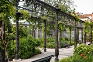 Venice: St. Mark's Square Royal Gardens Light Lunch 4