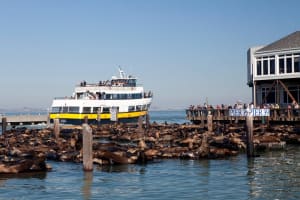 San Francisco Bay Cruise 3