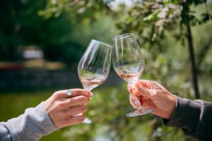 San Francisco Super Saver: Muir Woods & Wine Country w/ optional Gourmet Lunch 4