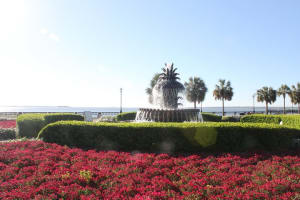 90-Minute Charleston City Sightseeing Bus Tour  3