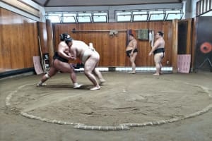 Sumo Practice Viewing Guided Tour and Photo with Sumo Wrestlers 4