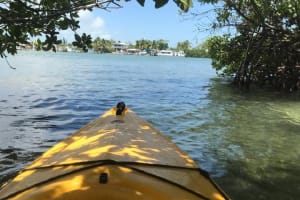 Key West Kayak Rental 4