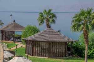 Private Half-Day Tour to the Dead Sea from Amman  4