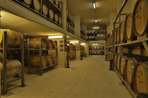Private Wine Tasting Tour in Amman and Boulevard Walking Tour 3