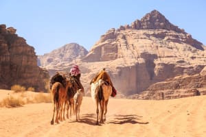 3-Night Private Jordan Glorious Highlights Tour: Petra, Wadi Rum, and Dead Sea 4