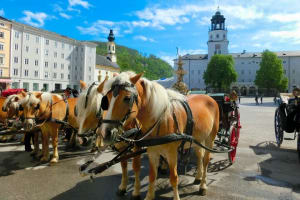 Salzburg Small-Group Day Trip from Vienna 4