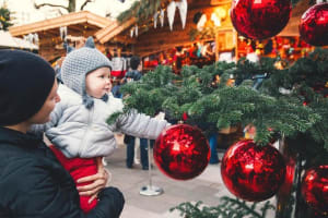  Small-Group Christmas Day Trip to Hallstatt from Vienna 4