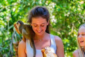 Triple fun! Monkeyland + Damajagua Waterfalls + Buggies from Puerto Plata 4
