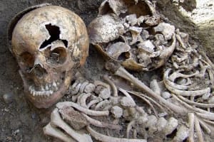 Irish Famine Museum / Exhibition Dublin 4