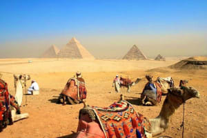 Private Camel Ride at Giza Pyramid for 2 Hours 4